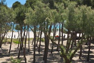 Sallés Beach