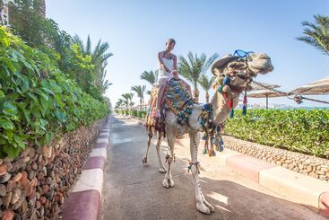Sunny Days El Palacio Resort & Spa