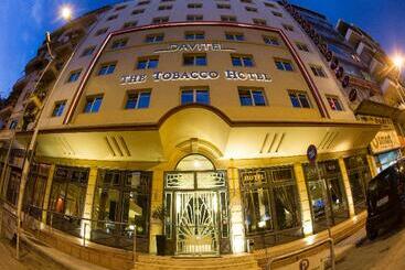 בית מלון כפרי Davitel  Tobacco