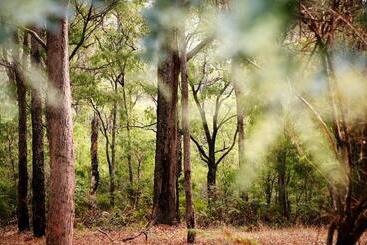 هتل Margarets Forest