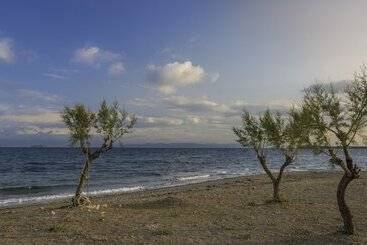 هتل Oasis Beach