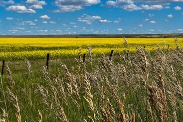 هتل Coast Swift Current