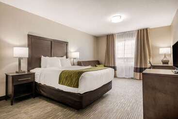 هتل Comfort Inn & Suites