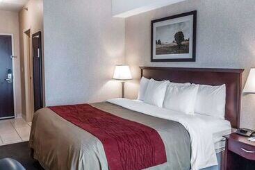 هتل Comfort Inn
