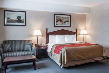هتل Comfort Inn