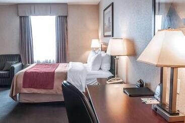 هتل Comfort Inn