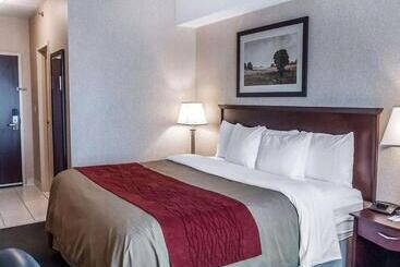 هتل Comfort Inn