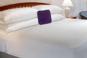 Knights Inn   Park Villa Motel, Midland