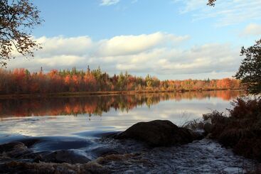 בית מלון כפרי Trout Point Lodge Of Nova Scotia