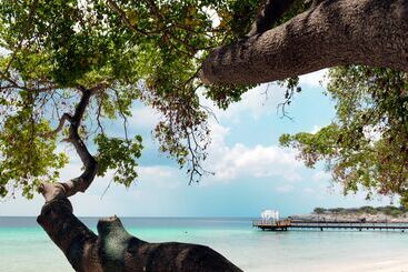 هتل Zoetry Curacao
