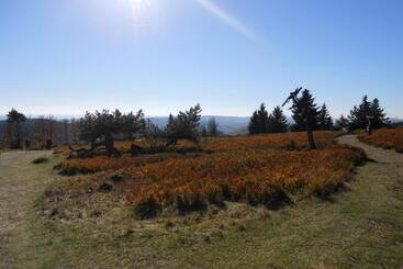 هتل Winterberg Resort