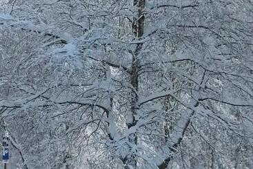 هتل Winterberg Resort