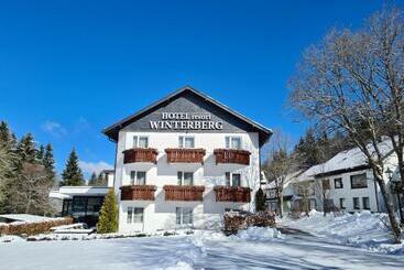 هتل Winterberg Resort