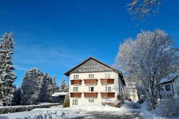 هتل Winterberg Resort
