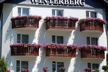 هتل Winterberg Resort