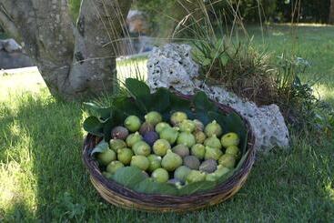 هتل Masseria Chiancone Torricella