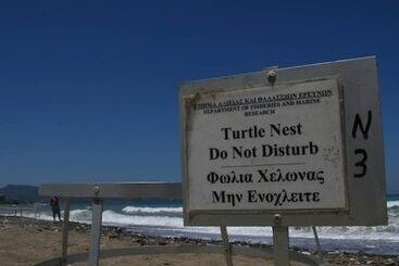 Natura Beach Hotel And Villas