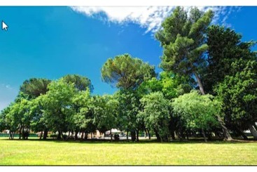 هتل Villa Raffaello Park