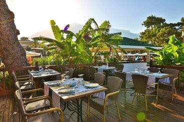 Crystal Aura Beach Resort & Spa   Ultimate All Inclusive