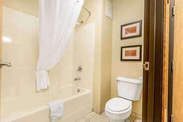 هتل Comfort Inn & Suites East Moline Near I 80