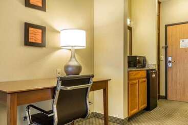هتل Comfort Inn & Suites East Moline Near I 80