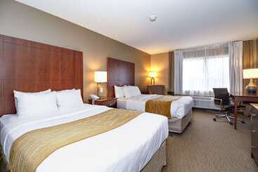 هتل Comfort Inn & Suites East Moline Near I 80