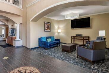 هتل Comfort Inn & Suites
