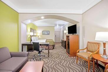 酒店 La Quinta By Wyndham Corpus Christi Airport