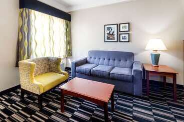 هتل La Quinta By Wyndham Roswell