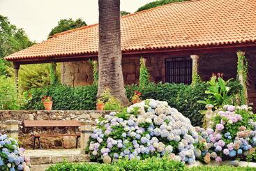 Hotel Pazo Revel  & Resort
