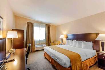 هتل Quality Inn Near Seattle Premium Outlets