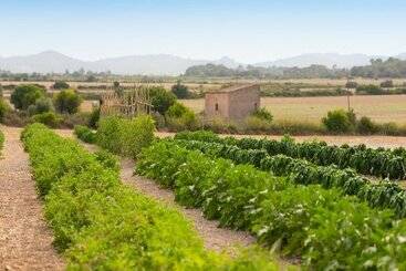 هتل روستایی Finca Son Roig by Valentin