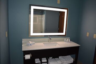 هتل Wingate By Wyndham College Station Tx