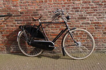 Spatz Apart
