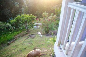 Studio Avec Vue Sur La Mer A Fort De France 50 M² Exceptionnel ! - Fort de France