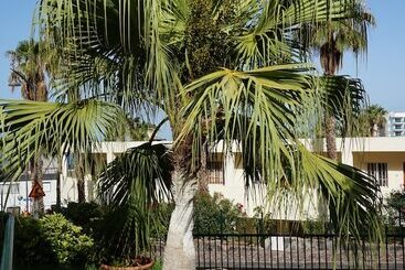 El Sombrero Apartments Los Gigantes