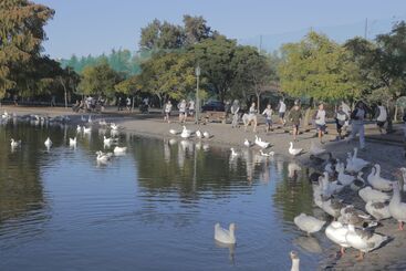 هتل Pampa Plaza