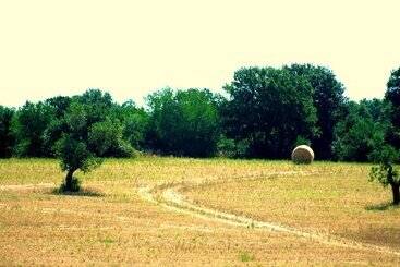 هتل Victor Country