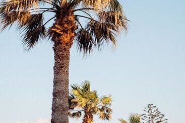 Phāea Cretan Malia, A Member Of Design Hotels