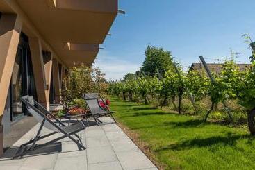 هتل James Vignoble Hôtel, Eguisheim