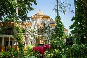 Paradox Resort Phuket Sha Plus