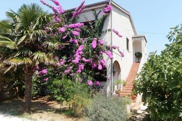 Apartment Lara - Medulin