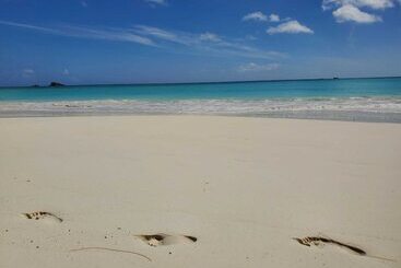 Cote D Or Footprints - Baie Sainte Anne