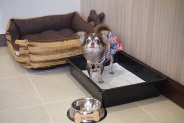 هتل Grand Mercure Bangkok Asoke Residence