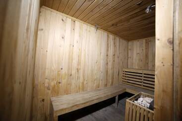 Отель Mapple Abhay