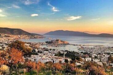 Merve Apartments, Your Home From Home In Central Bodrum, Street Cats Frequent The Property, Not All