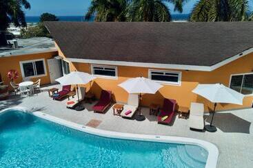 The Blue Orchid B&b