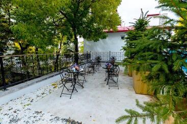 هتل Grand Ani̇