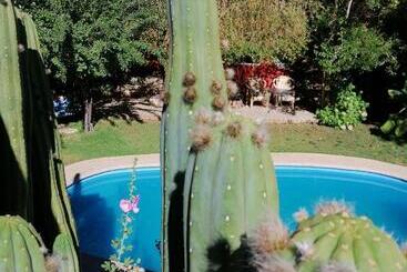 El Jardín Secreto Pisco Elqui