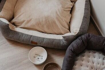 هتل Nivia Born Boutique